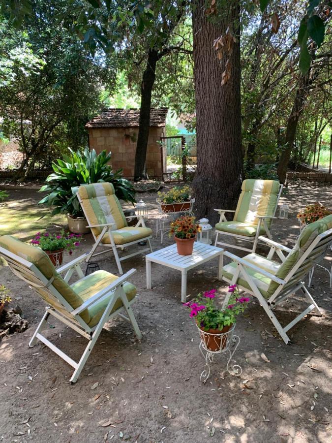 Appartement Super Attico Della Brigata Spendereccia! Monteroni dʼArbia